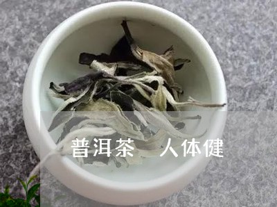 普洱茶 人体健/2023041071502